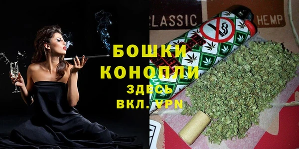 молекула духа Медвежьегорск
