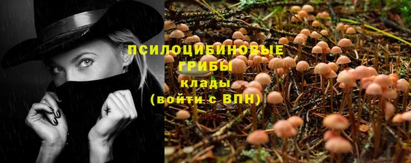 прущая мука Медногорск