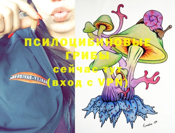 молекула духа Медвежьегорск