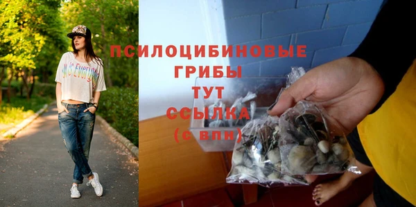 молекула духа Медвежьегорск