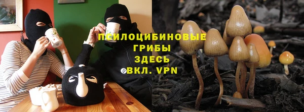 прущая мука Медногорск