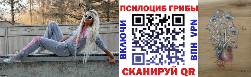 Псилоцибиновые грибы прущие грибы  Александровское 