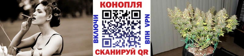 Конопля ГИДРОПОН  купить   Александровское 